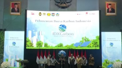 Luncurkan Bursa Karbon Indonesia, Presiden: Kontribusi Nyata Indonesia Hadapi Perubahan Iklim
