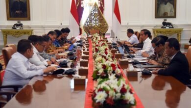 Beberkan Progres PSN, Airlangga: Hingga Oktober Rampung 170 PSN