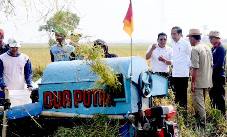Panen Raya di Subang, Presiden: Diharapkan Tambah Cadangan Beras Kita
