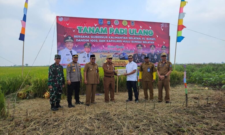 Pemprov Kalsel Gelar Syukuran Ratusan Hektare Lahan Panen dan Tanam Padi di Kabupaten HSS