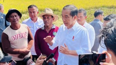 PRESIDEN JOKOWI PANEN RAYA PADI DI INDRAMAYU