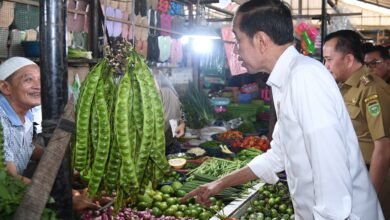 Presiden Cek Harga Komoditas Pangan di Pasar Sekip Ujung Kota Palembang