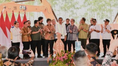 Presiden Jokowi Apresiasi Gerak Cepat Investor Dalam Negeri Berinvestasi di IKN