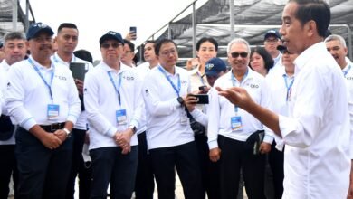 Presiden Jokowi Ajak Sejumlah Pemimpin Perusahaan Tinjau Persemaian Mentawir