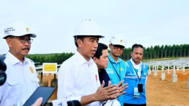 Presiden Jokowi Tegaskan Komitmen Pemerintah terhadap Keberlanjutan Pembangunan IKN