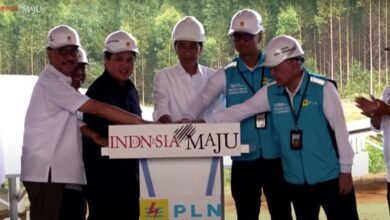 Presiden Jokowi: Pembangunan PLTS di IKN Wujud Keseriusan Pemerintah Sediakan Energi Hijau