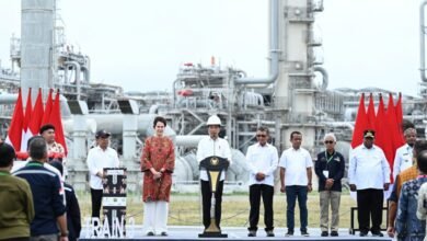 Presiden Jokowi Resmikan PSN Tangguh Train 3 di Teluk Bintuni