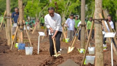 Tanam Pohon Bersama di Pulo Gadung, Presiden: Atasi Polusi dan Antisipasi Perubahan Iklim