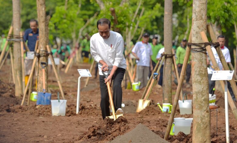 Tanam Pohon Bersama di Pulo Gadung, Presiden: Atasi Polusi dan Antisipasi Perubahan Iklim