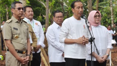 Presiden Jokowi Tegaskan Pembangunan IKN Ciptakan Titik Pertumbuhan Ekonomi Baru