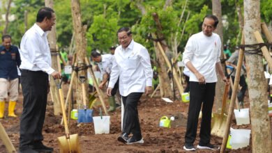 Antisipasi Perubahan Iklim, Presiden Jokowi Ajak Masyarakat Tanam Pohon