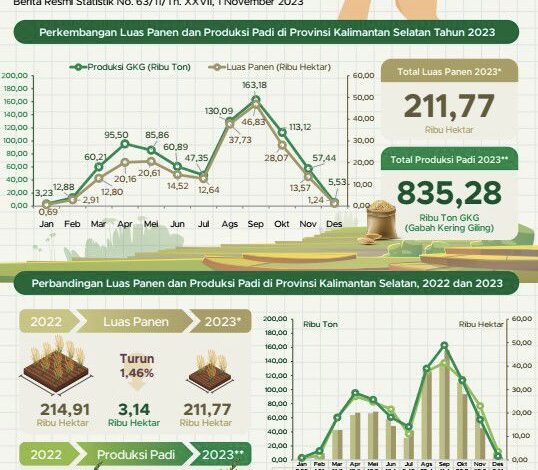 Luas Panen Padi di Kalsel Capai 46,83 Ribu Hektare pada September 2023