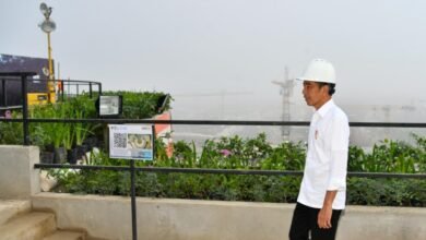 Pagi di IKN, Presiden Tinjau Pembangunan IKN dari Atas Lokasi Kantor Presiden