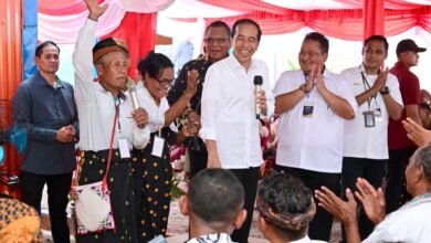 Presiden Jokowi Cek Stok Beras dan Bagikan Bantuan Pangan CBP di Kabupaten Nagekeo