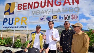 Tinjau Pembangunan Bendungan Mbay, Presiden: Ini Strategi Wujudkan Kedaulatan Pangan