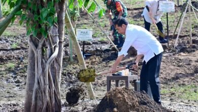 Tanam Pohon Bersama Masyarakat, Presiden: Ini Tindakan Nyata Hadapi Perubahan Iklim