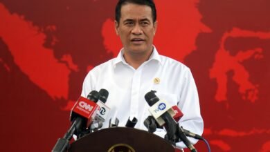 Targetkan Swasembada Gula, Pemerintah Siapkan Lahan di Papua
