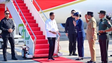 Kunjungi Jawa Tengah, Presiden Jokowi akan Tanam Padi hingga Resmikan Terminal