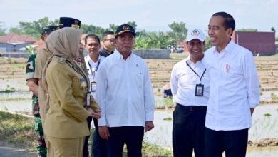 Dorong Produktivitas Petani, Pemerintah Siapkan Tambahan Subsidi Pupuk