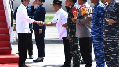 Ke IKN, Presiden Jokowi Akan Groundbreaking Sejumlah Infrastruktur hingga Tanam Pohon Bersama