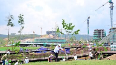 Presiden Jokowi Tanam Pohon Bersama di Area Sumbu Kebangsaan IKN