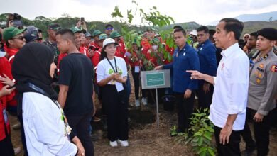 Presiden Jokowi Tegaskan Pentingnya Pemantauan Perkembangan Proyek di IKN Usai Groundbreaking