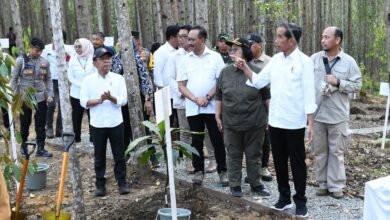 Presiden Jokowi Tinjau Miniatur Reforestrasi Hutan Tropis dan Lakukan Penanaman Pohon