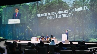 Presiden Jokowi Sampaikan Langkah Indonesia Capai Net Carbon Sink Sektor Hutan dan Lahan