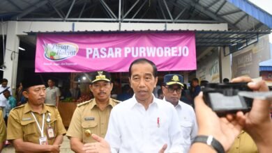 Presiden Jokowi Pastikan Cadangan Beras Terkendali untuk Stabilkan Harga