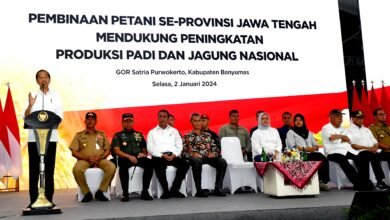 Presiden Jokowi Apresiasi Peran Petani Tingkatkan Produksi Jagung
