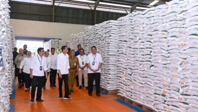 Presiden Jokowi Cek Stok Beras di Gudang Bulog Bengkal Lor Temanggung