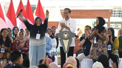 Presiden Jokowi Apresiasi Sambutan Baik UMKM Terhadap Program Mekaar