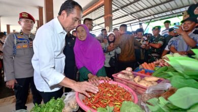 Kunjungi Pasar Sebukit Rama, Presiden Jokowi: Harga Baik dan Stabil
