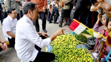 Tinjau Pasar Muara Bungo, Presiden Tekankan Pentingnya Revitalisasi Pasar