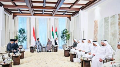 Presiden Prabowo dan Presiden MBZ Bahas Upaya Perdamaian di Gaza
