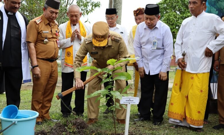 Gubernur Kalsel Turut Menyukseskan Gerakan Penanaman 1 Juta Pohon Matoa se-Indonesia