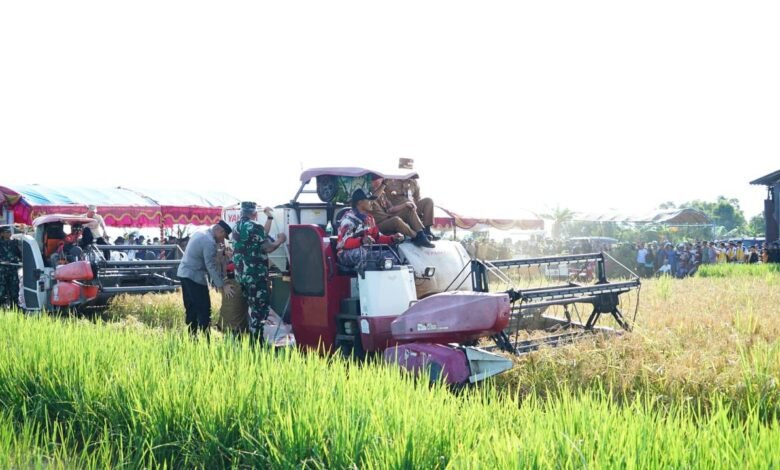 Pemprov Kalsel Panen Raya di Desa Panca Karta