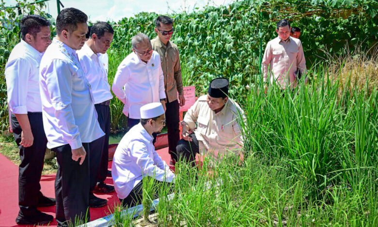 Presiden Prabowo: Indonesia Jadi Lumbung Pangan Dunia