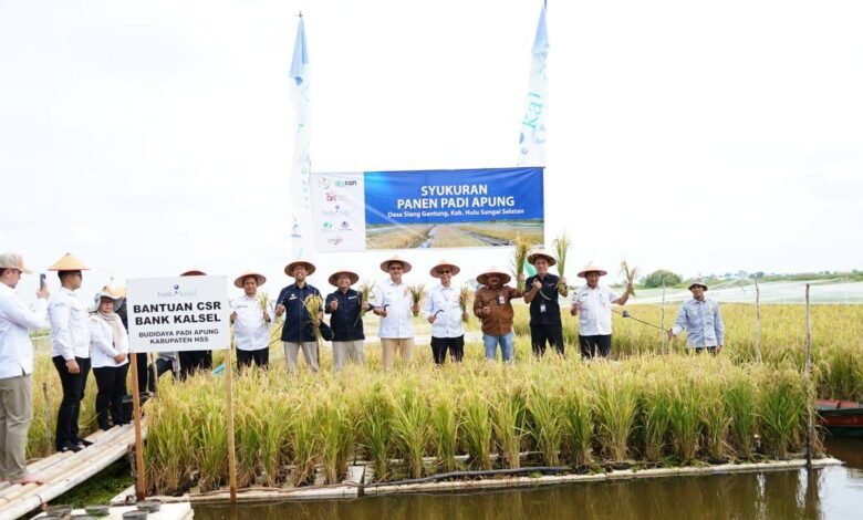 Inovasi Padi Apung Tunjukkan Hasil Menggembirakan, Kalsel Gelar Syukuran Panen Padi Apung di Desa Siang Gantung