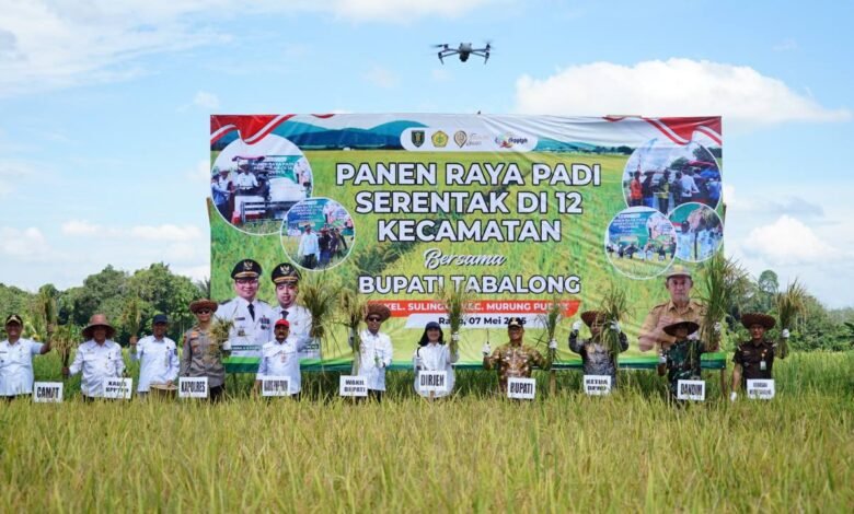 Panen Raya Padi di Tabalong, Sinergi Pemerintah dan Petani Mewujudkan Ketahanan Pangan