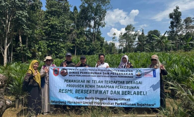 BPSBP Disbunnak Kalsel Perkuat Implementasi ISPO dengan Menyediakan Benih Kelapa Sawit Unggul, Bersertifikat dan Berlabel