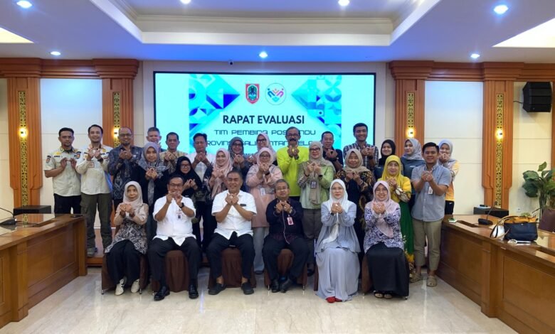TP Posyandu Kalsel Koordinasikan Pengisian Self-Assesment dalam Penerapan Wajib Dasar 6 SPM