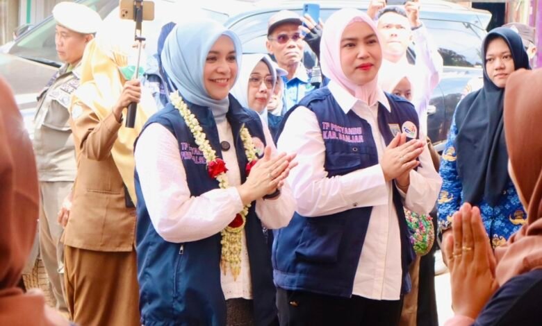 Wakil Ketua TP Posyandu Kalsel Kunjungi Lokus Ke-5 Posyandu 6 SPM di Desa Jambu Burung