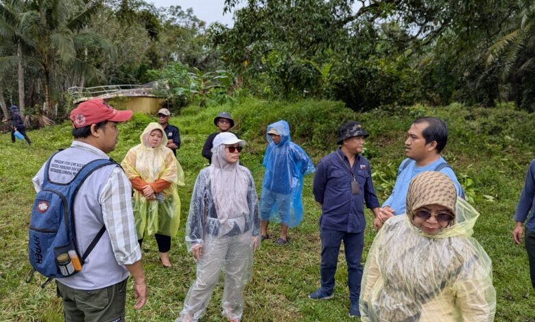 Dishut Kalsel Rencanakan Penanaman Mangrove di Desa Sabuhur Kabupaten Tanah Laut