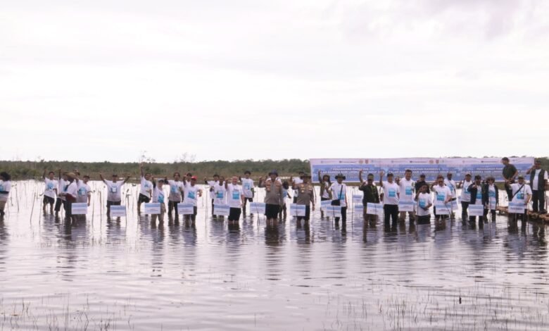 KLH Bersama Kelompok Tani Hutan Tambak Sabalai Menanam Mangrove di Kabupaten Tanah Laut