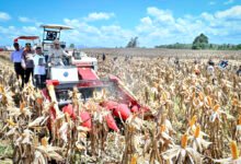 Panen Raya Jagung Seluas 344 Ribu Hektare, Presiden Prabowo Tegaskan Indonesia Siap Jadi Lumbung Pangan Dunia