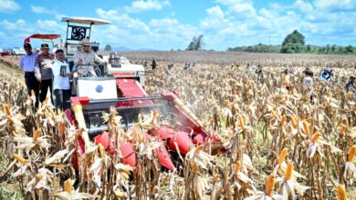 Panen Raya Jagung Seluas 344 Ribu Hektare, Presiden Prabowo Tegaskan Indonesia Siap Jadi Lumbung Pangan Dunia