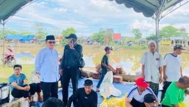 Peringati Hari Raya Iduladha 1446 H, Desa Mekar Potong 12 Sapi dan 2 Kambing