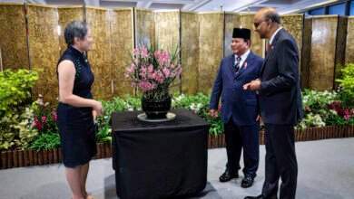 Presiden Prabowo Beri Nama Anggrek “Paraphalante Dora Sigar Soemitro” dalam Kunjungan Kenegaraan di Singapura