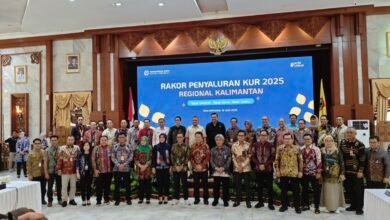 Hingga Juni, Penyaluran KUR di Kalsel Tahun 2025 Capai Rp2,21 Triliun